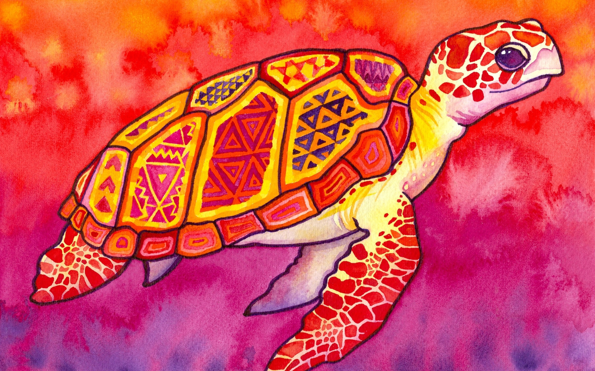 watercolor, Paintings, Turtles, Patterns, Abstract, Sea, Turtle, Watercolor, Sea, Turtles, Colorful, Abstract, Multicolor Wallpaper