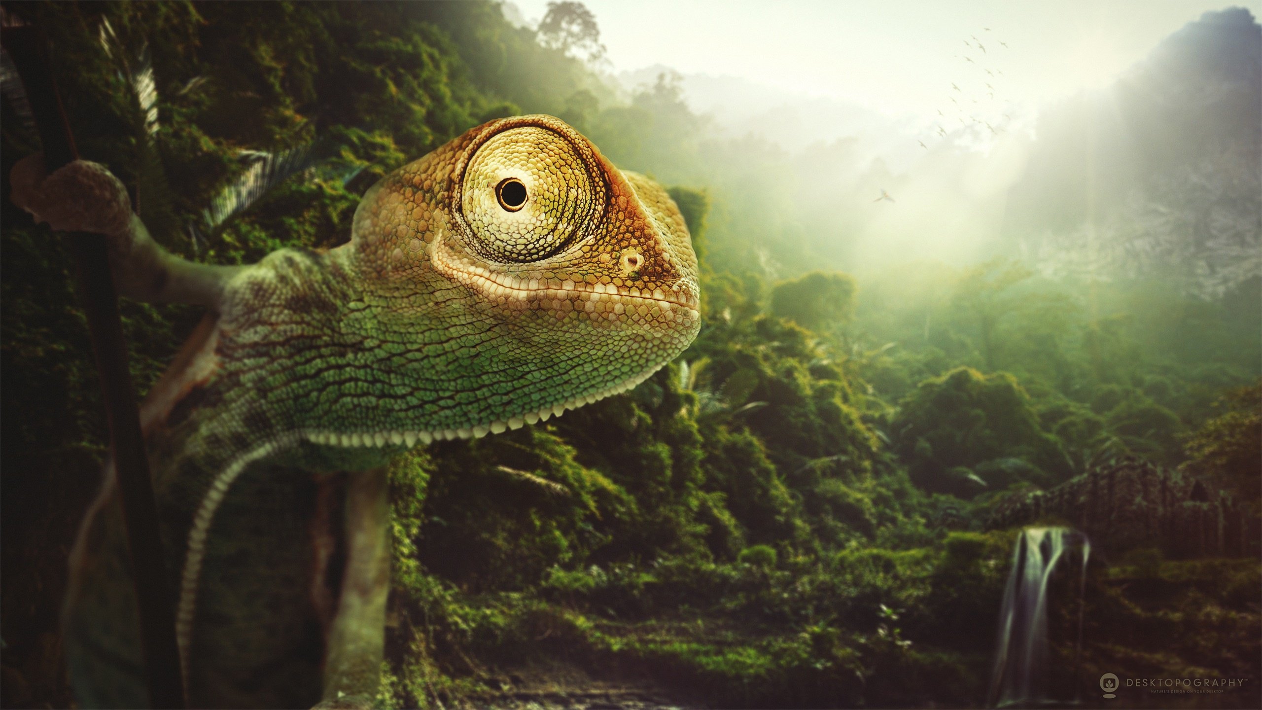 reptile, Forest, Chameleon, Animals, Jungle, Artwork, Lizard Wallpaper