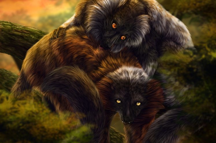 lemur, Primate, Madagascar,  43 HD Wallpaper Desktop Background