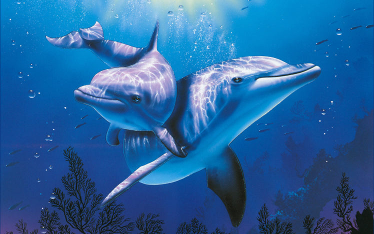 dolphins, Underwater, Ocean, Sea HD Wallpaper Desktop Background
