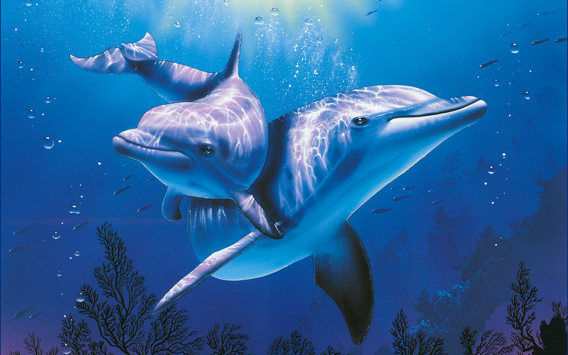 dolphins, Underwater, Ocean, Sea Wallpaper