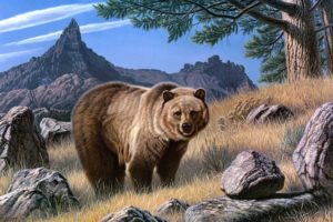 bears, Brown, Painting, Art, Animals, Bear