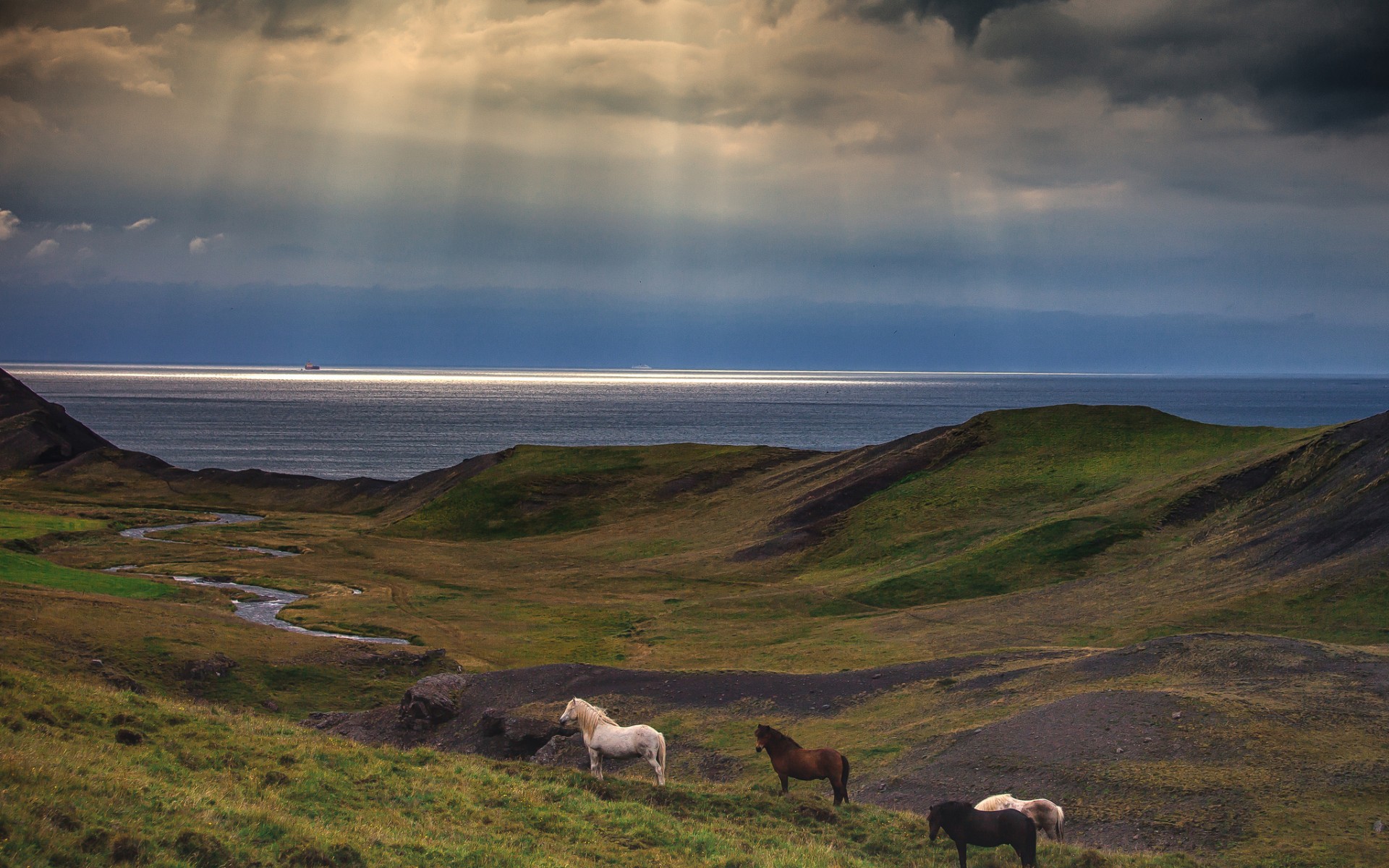 horses, Nature, Landscapes, Sky, Clouds, Sunlight, Beams, Rays Wallpaper