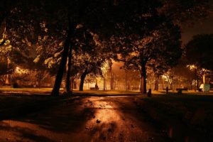 park, Dark, View