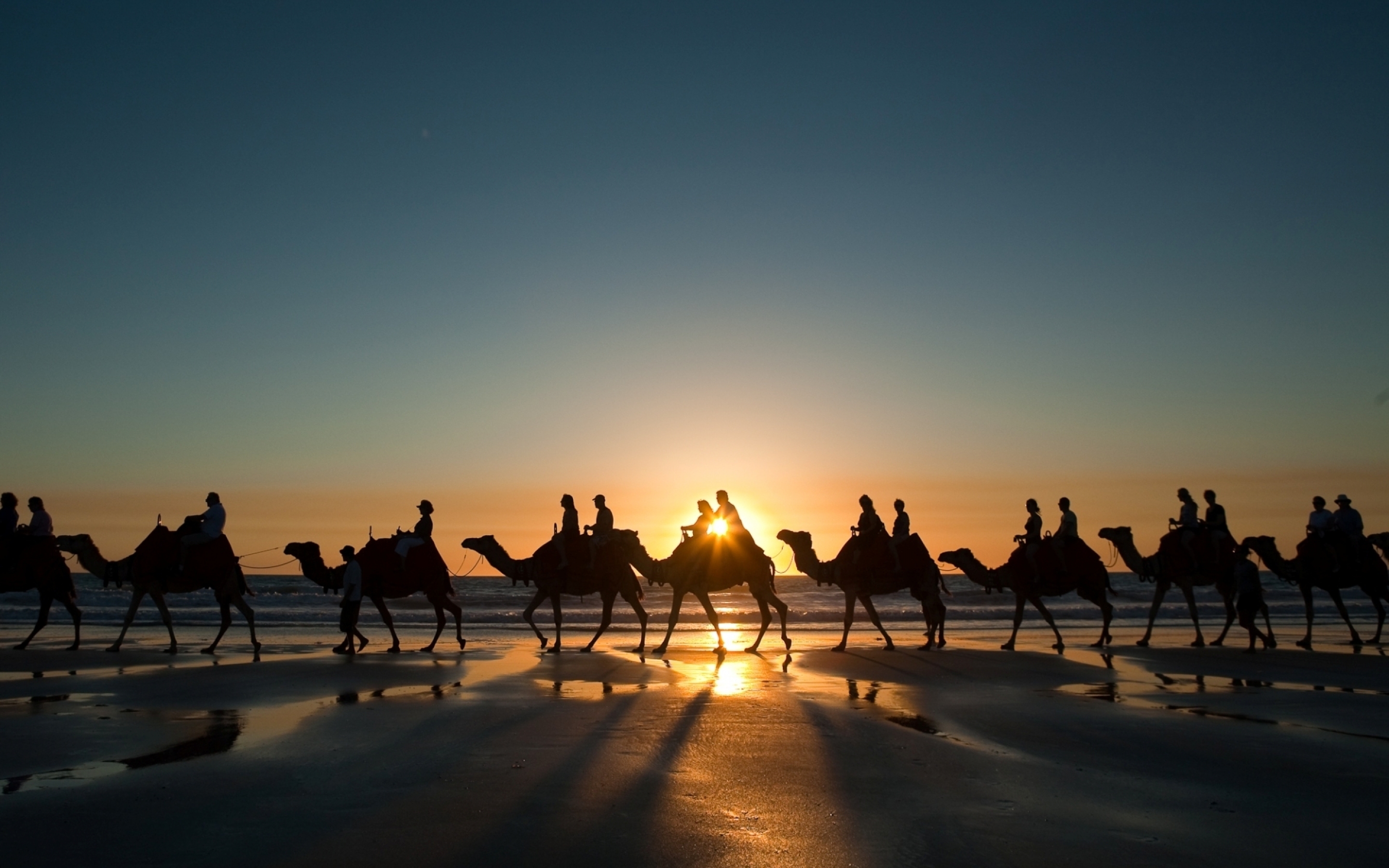 camel, Ride Wallpaper