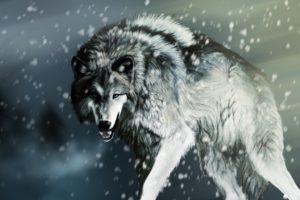 hunting, Wolf