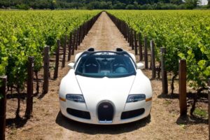bugatti, Veyron, 164, Grand, Sport, 2010, In, Napa, Valley, Front