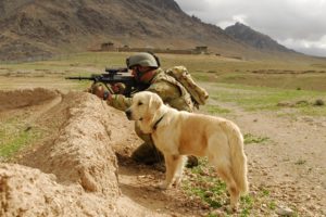soldier, And, Labrador