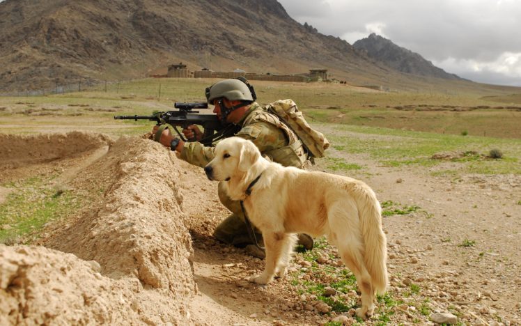 soldier, And, Labrador HD Wallpaper Desktop Background