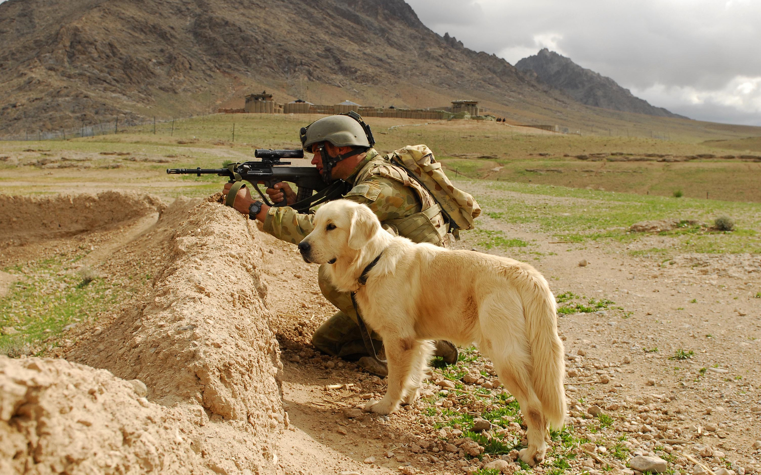 soldier, And, Labrador Wallpaper