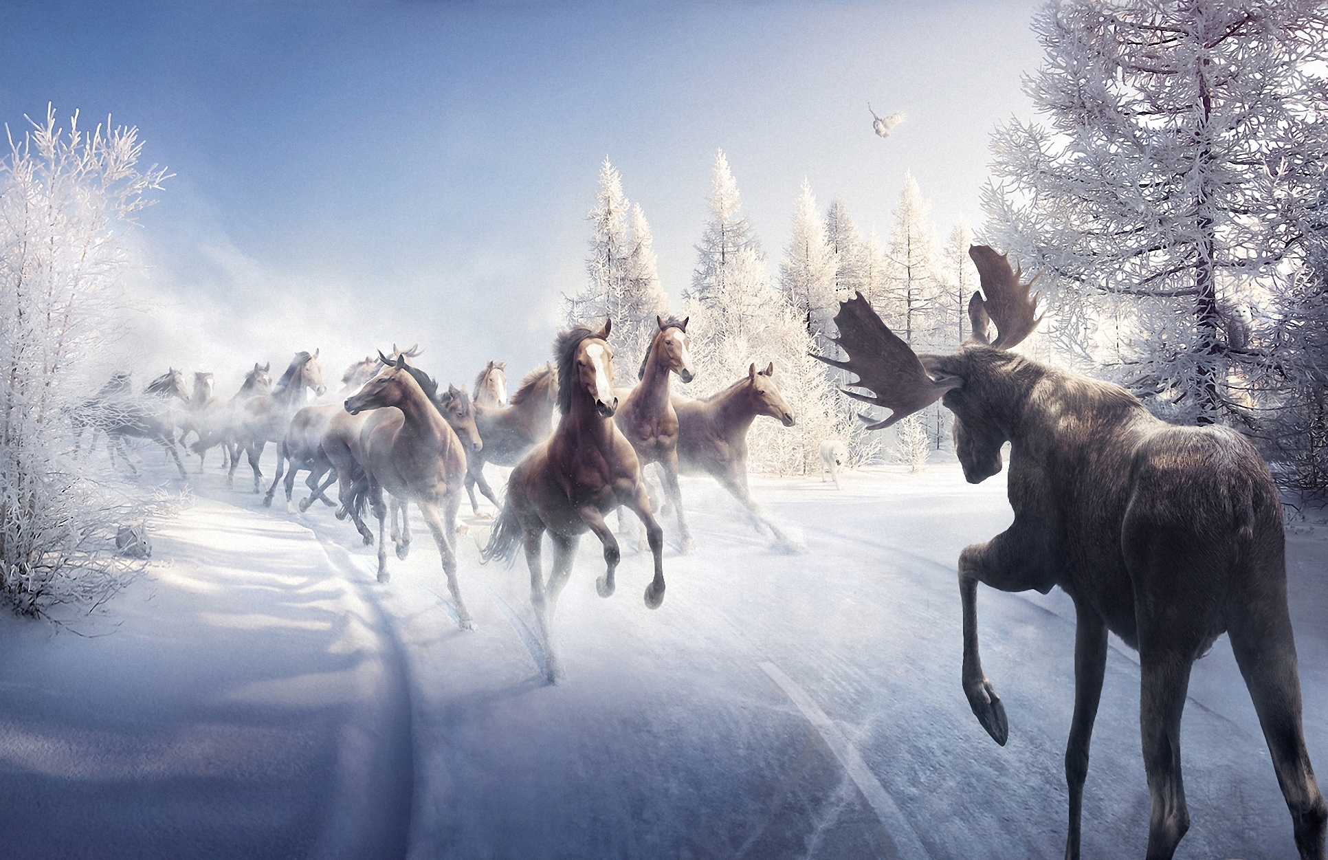 battle, Animals, Art, Paintings, Nature, Landscapes, Winter, Snow, Trees, Horses, Moose Wallpaper