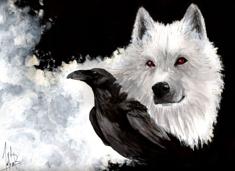 wolves, Crows, Glance, Animals HD Wallpaper Desktop Background