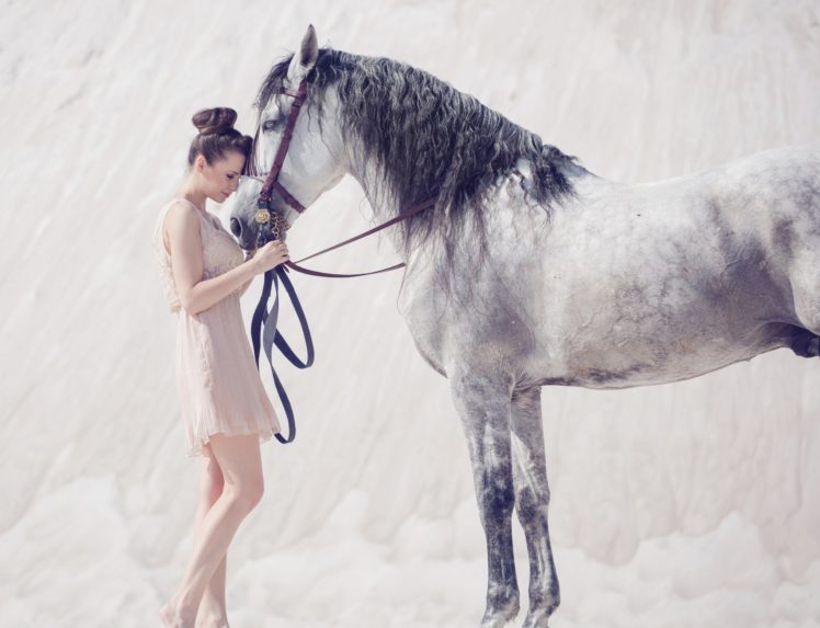 beautiful, Amazing, Horse, Mood, Girl, White HD Wallpaper Desktop Background