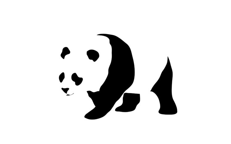 minimalist, Panda HD Wallpaper Desktop Background