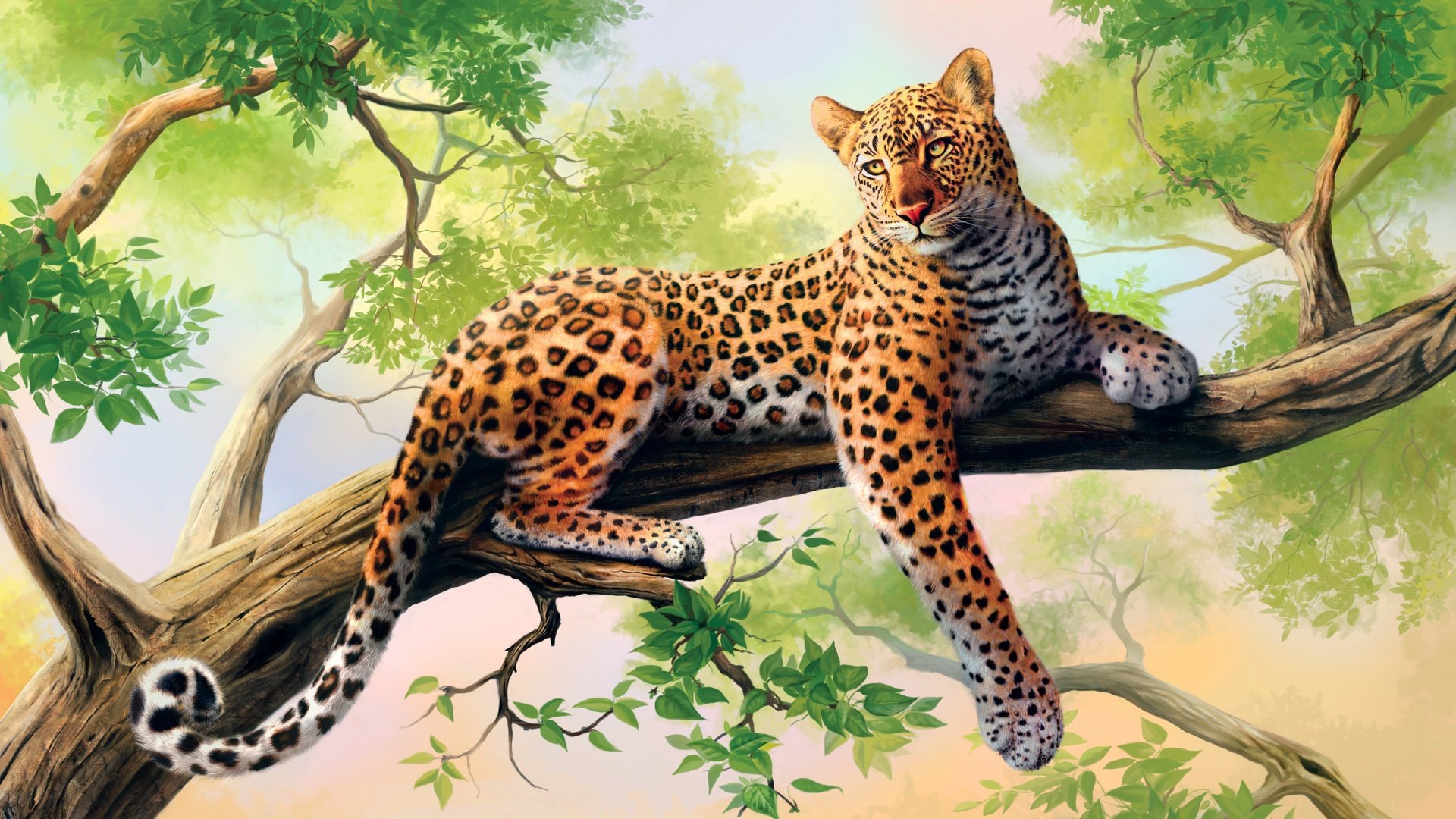 cheetah Wallpaper