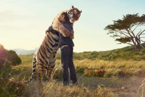 tiger, Man, Hug, Meeting, Print, Tree, Field, Friend