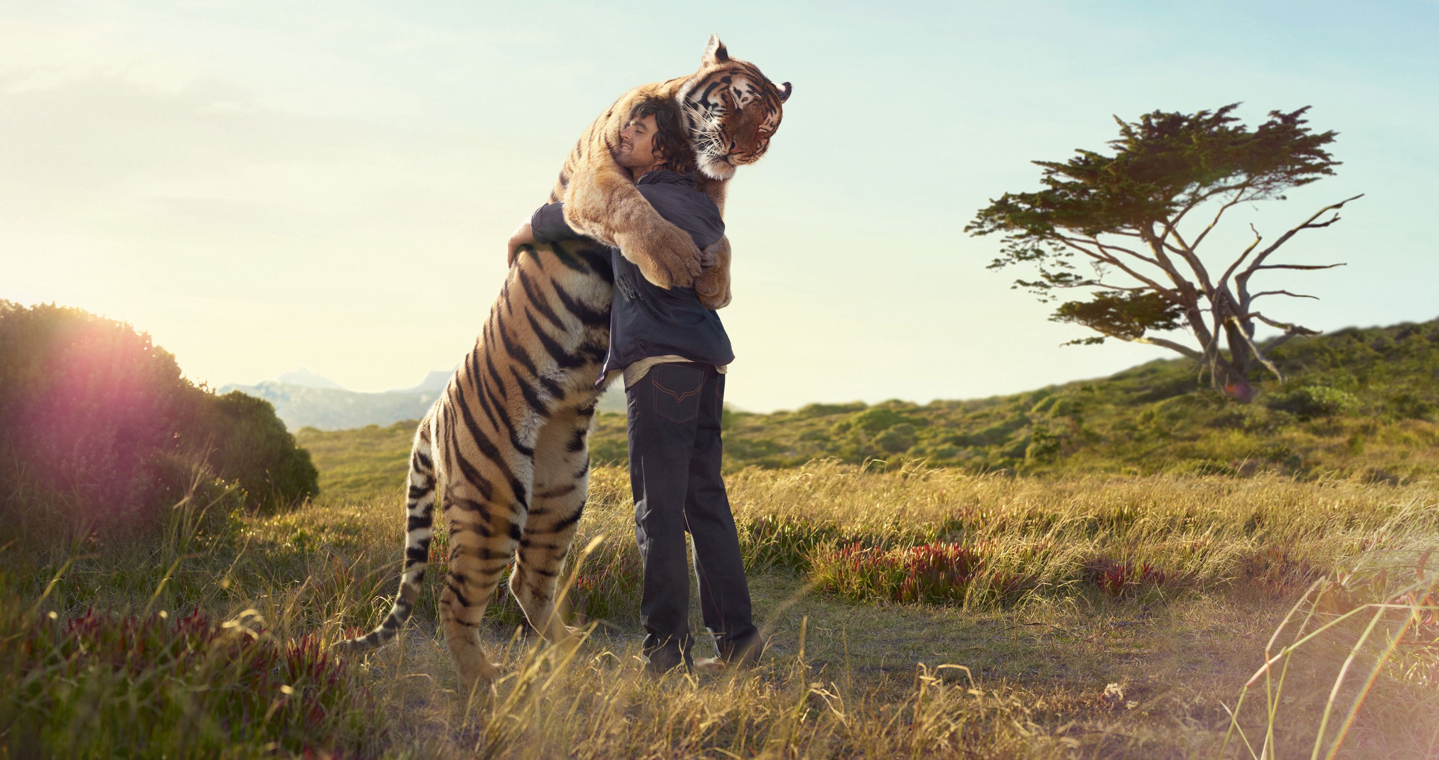 tiger, Man, Hug, Meeting, Print, Tree, Field, Friend Wallpaper