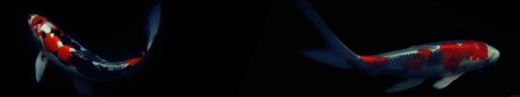 507289 HD Wallpaper Desktop Background