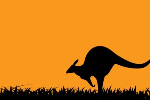 kangaroo, Marsupial
