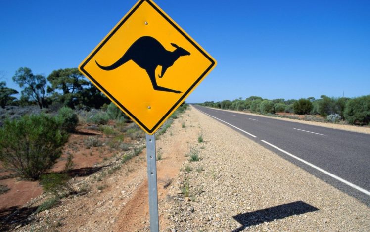 kangaroo, Marsupial, Sign HD Wallpaper Desktop Background
