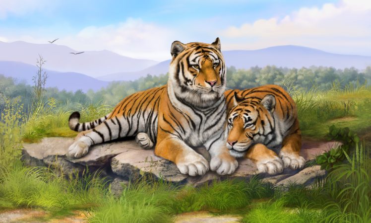 painting, Tigers, Grass, Stones, Lie, Art HD Wallpaper Desktop Background