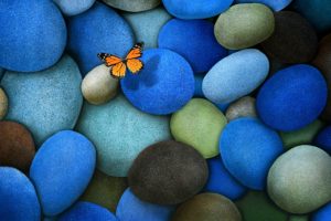 blue, Brown, Butterfly, Stones