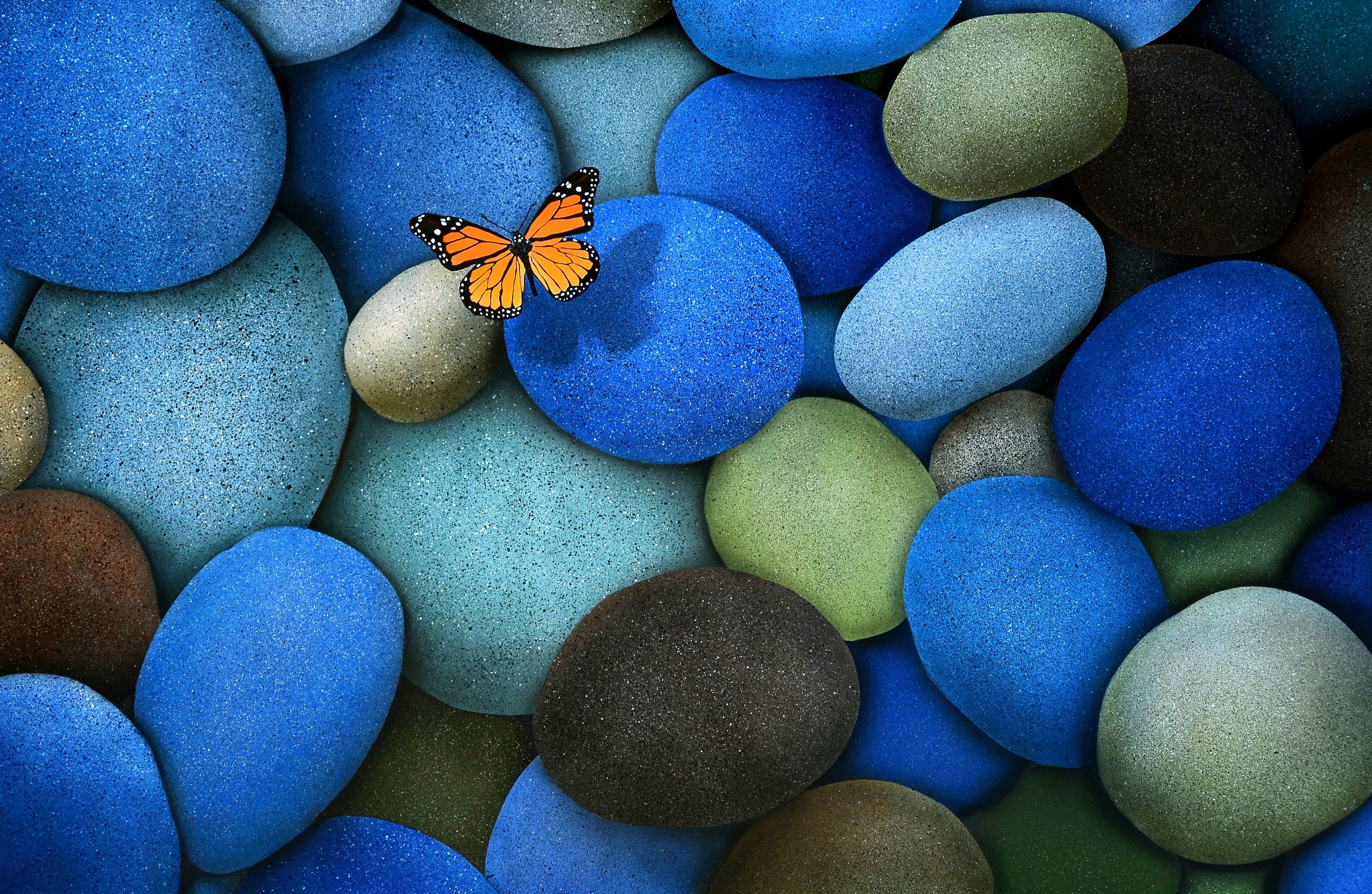 blue, Brown, Butterfly, Stones Wallpaper