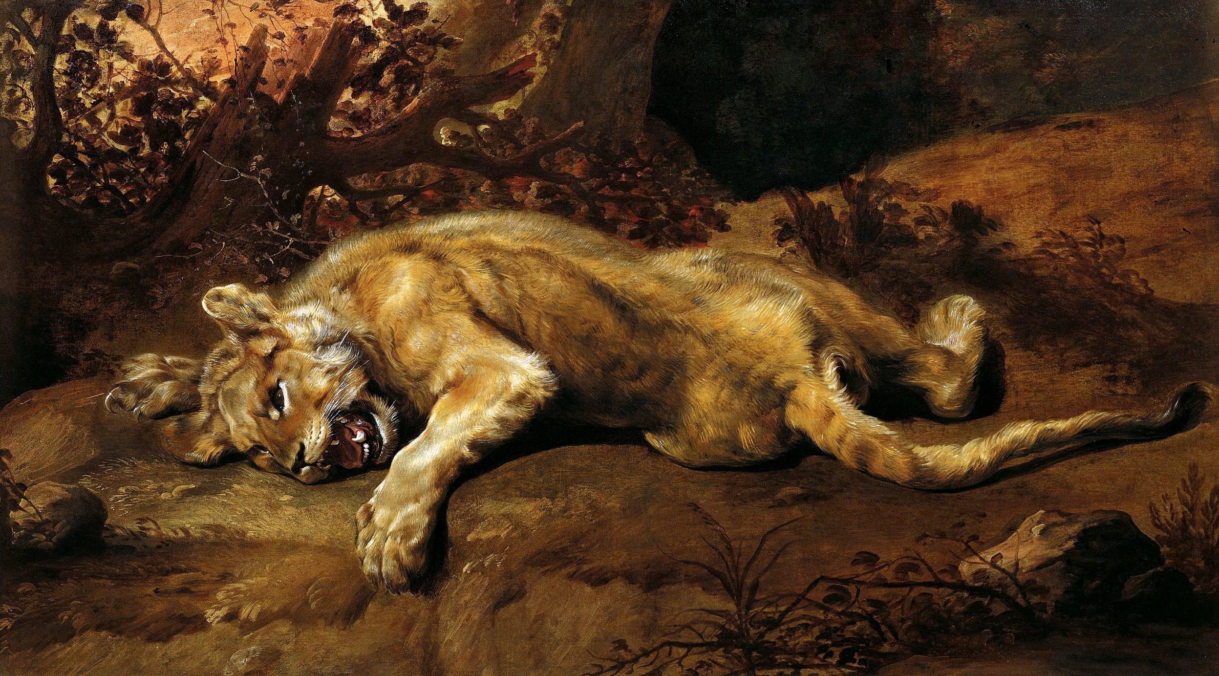 art, Picture, Painting, Frans, Snyders, The, Lioness, Lioness, Lies Wallpaper