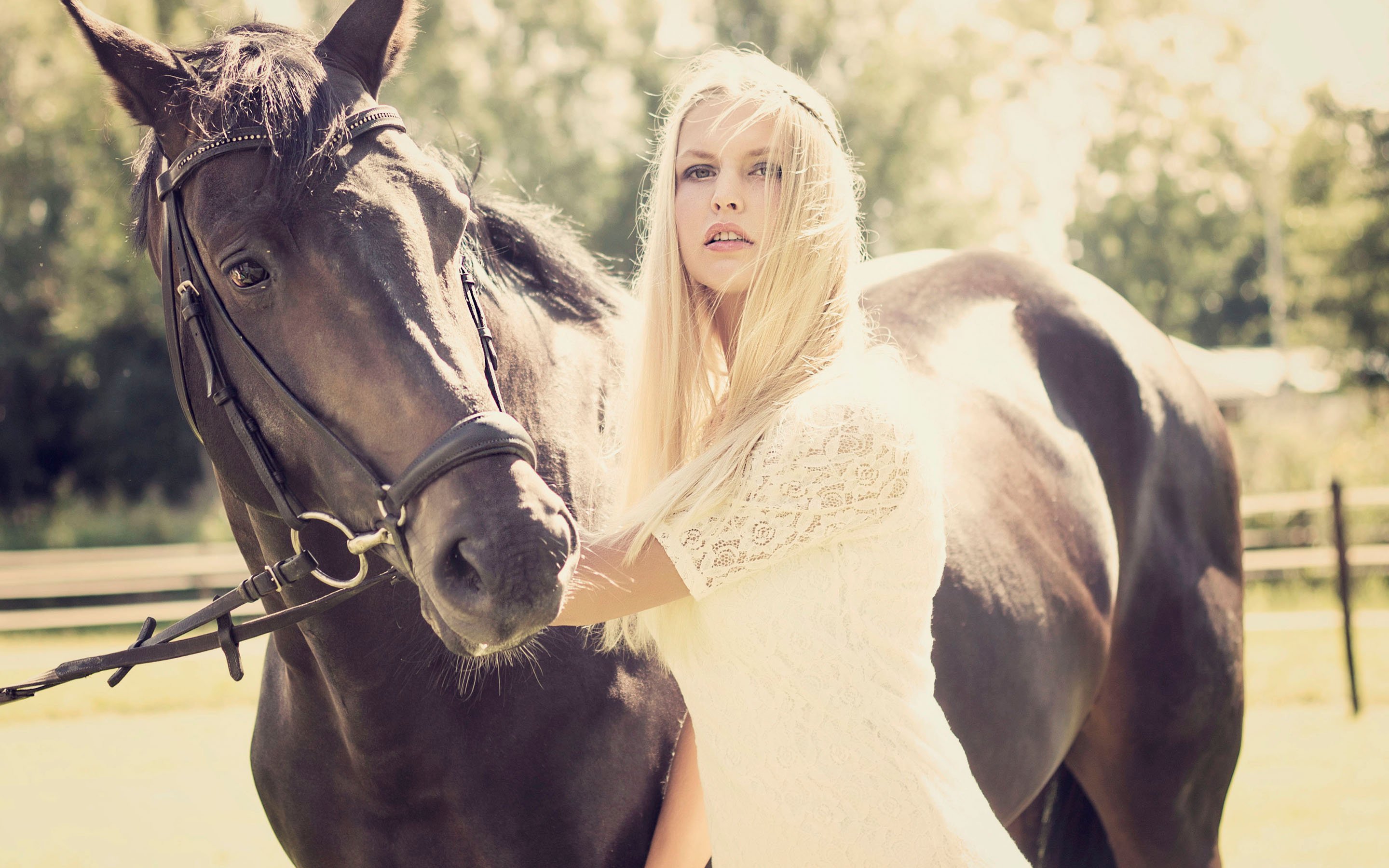 horse, Animal, Girl, Blonde, White, Dress Wallpaper