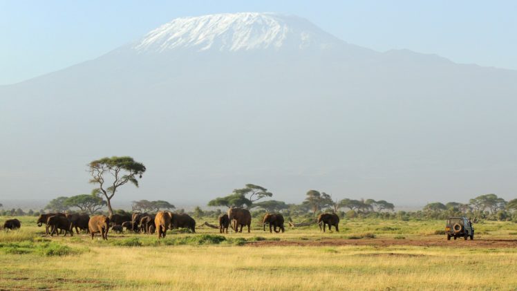 safari, Africa, Elephants, Mountains, Trees HD Wallpaper Desktop Background