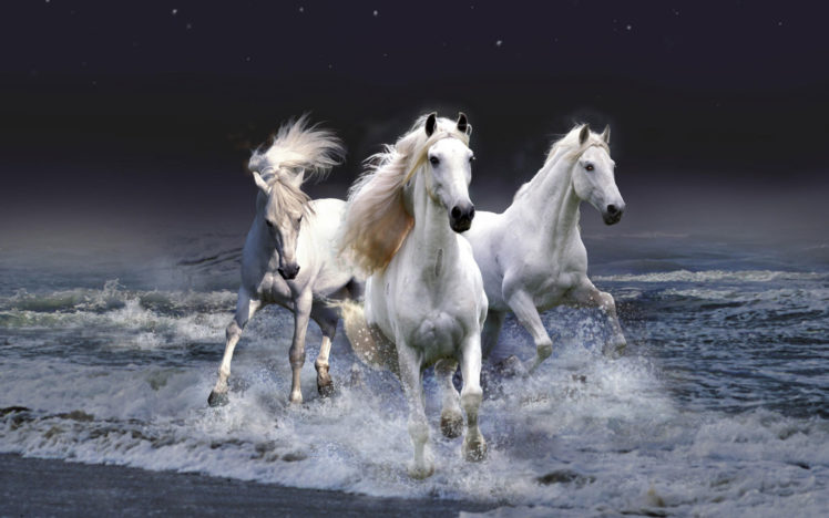 mystic, Horses HD Wallpaper Desktop Background