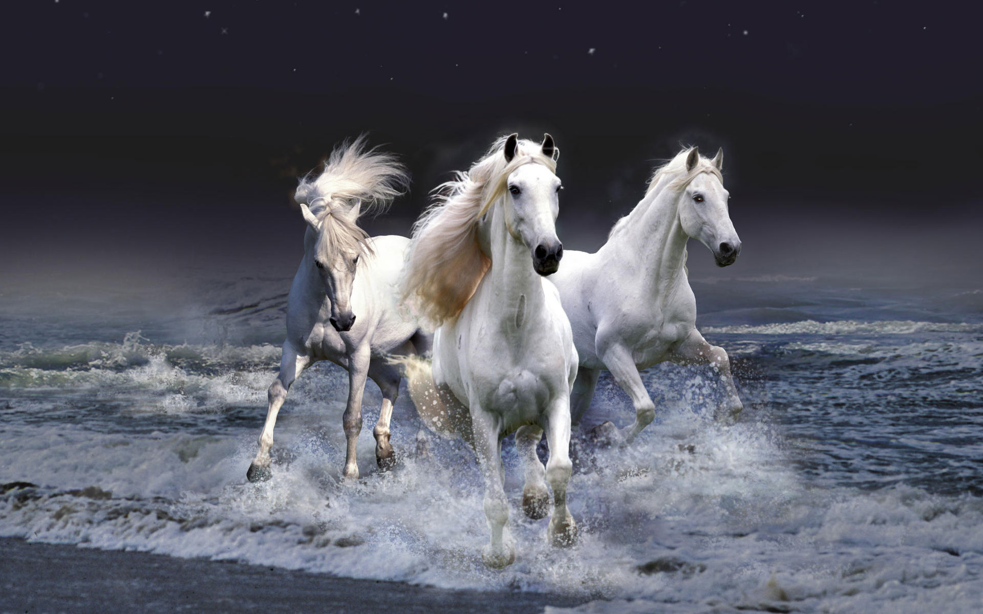 mystic, Horses Wallpaper
