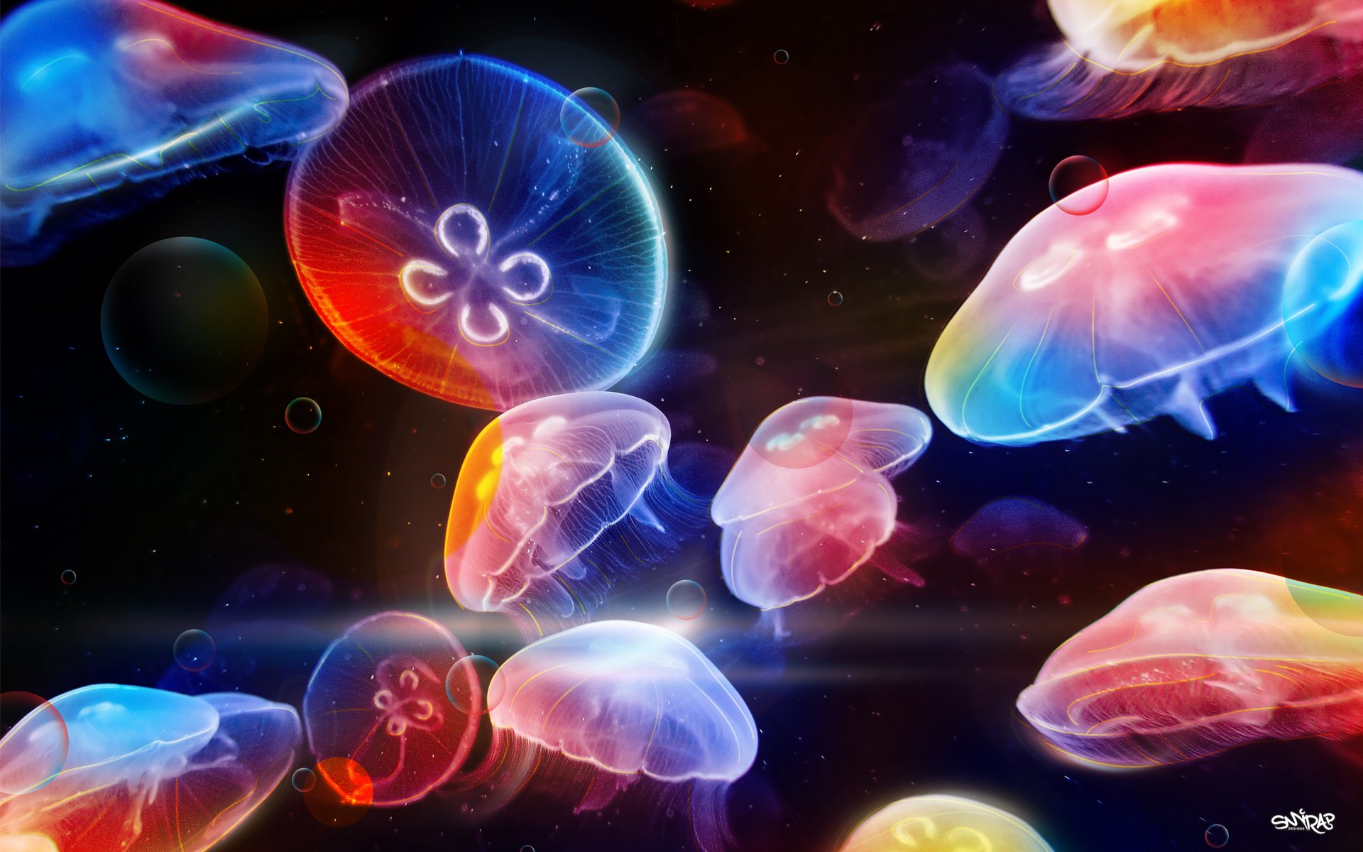 dancing, Underwater, Jellyfish, Color Wallpaper