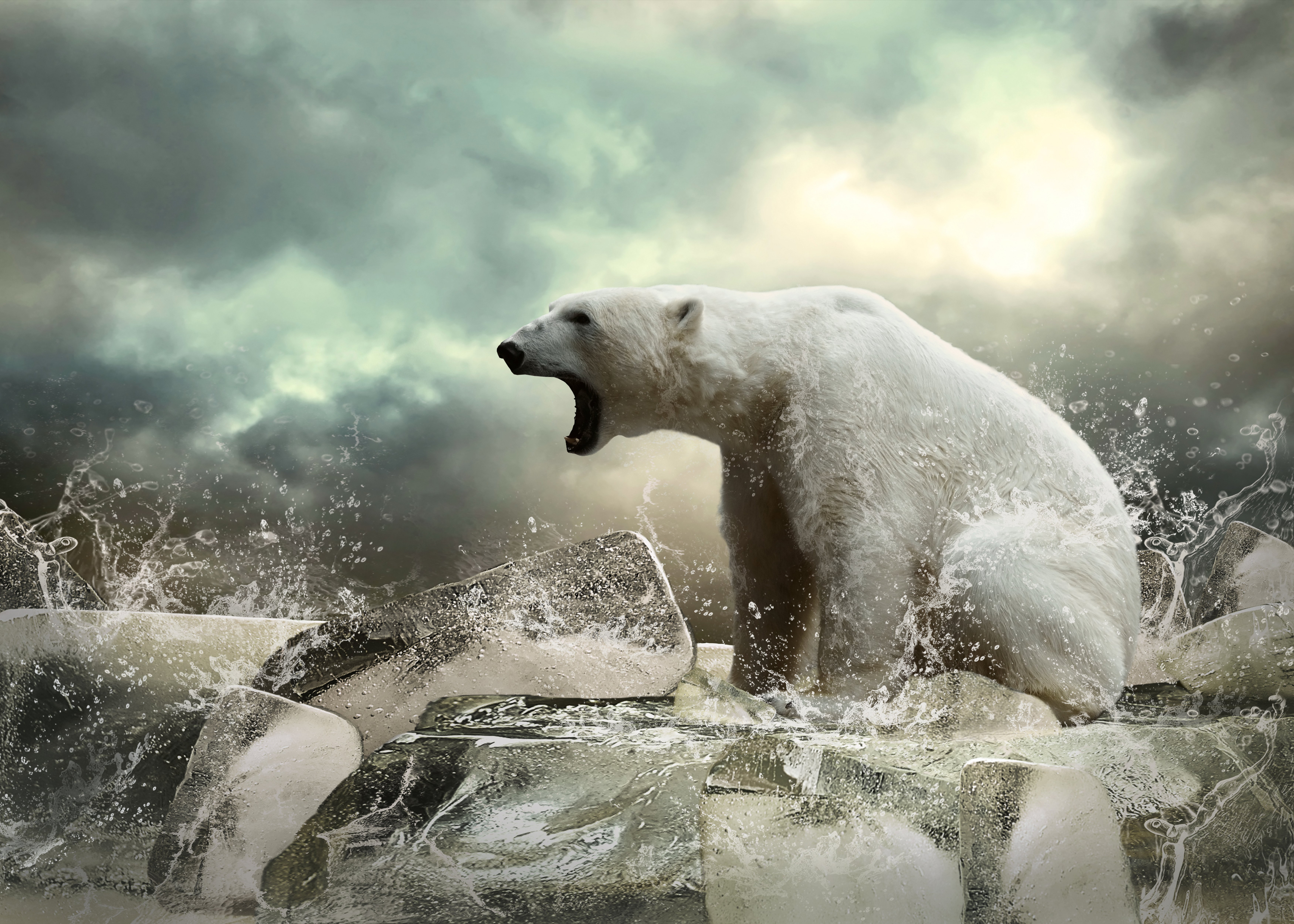polar, Bear, Animal, Bear, Ice Wallpaper