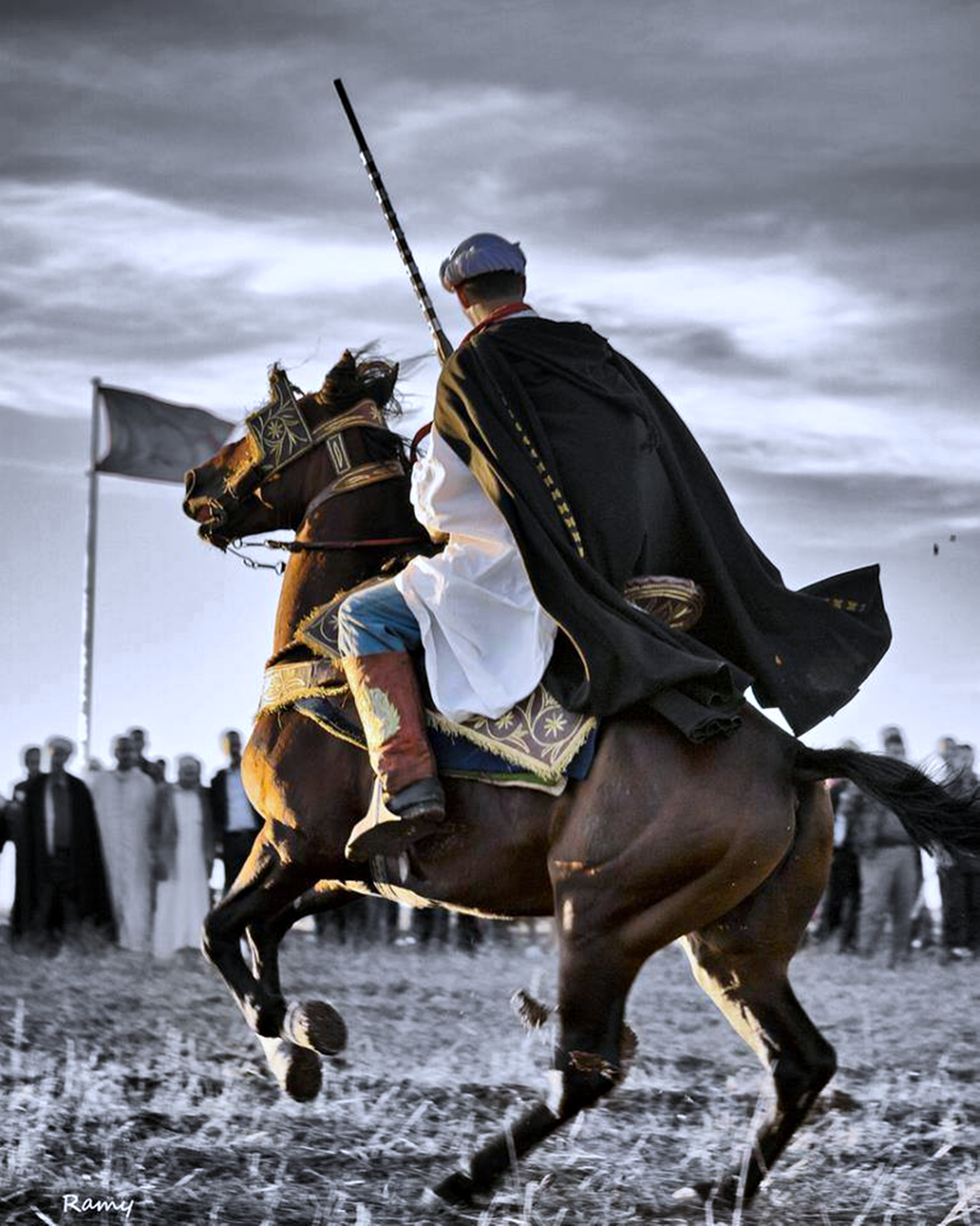 horses, Chaoui, Batna, Africa, North, Festival, Review, Horsemen, Traditions, Algeria, Amazigh, Aures, Fun Wallpaper