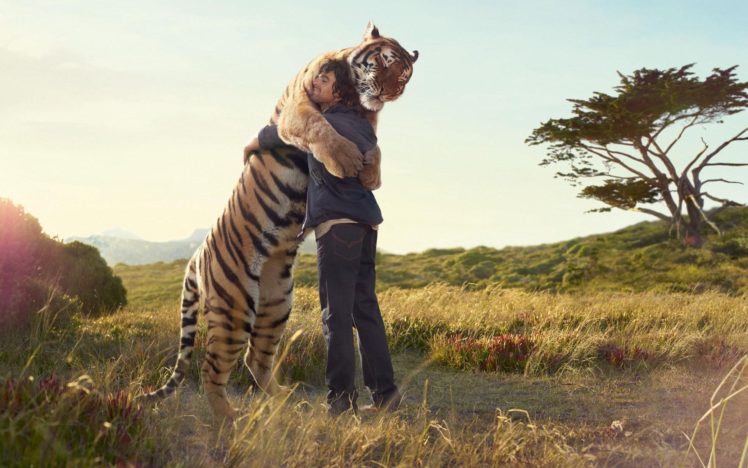 friends,  , Calvin, Hobbes, Hugs, Sun, Animals, Tiger HD Wallpaper Desktop Background