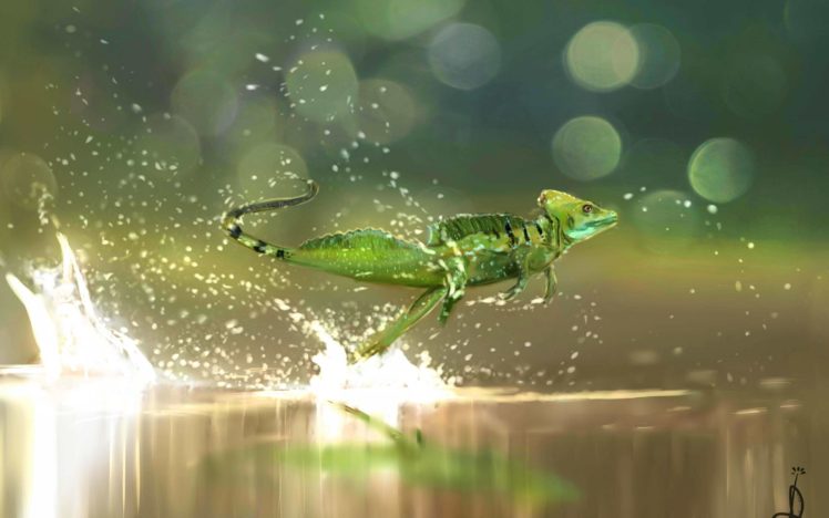 lizard, Reptile, Drops HD Wallpaper Desktop Background