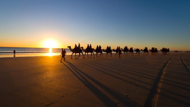 sea, Beach, Landscape, Camels, Sunset, Ocean HD Wallpaper Desktop Background