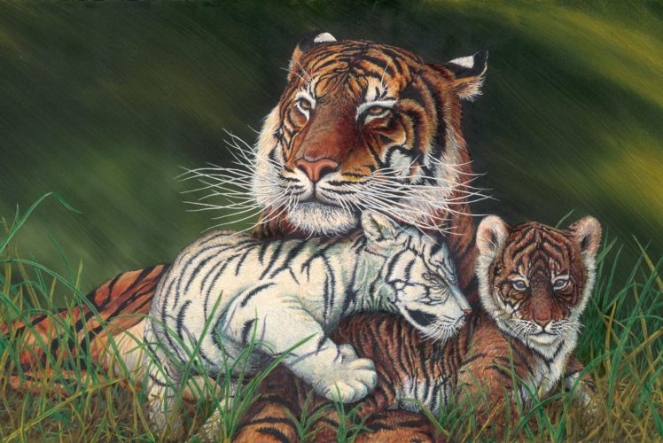 tiger and cubs calming art, Painting HD Wallpaper Desktop Background