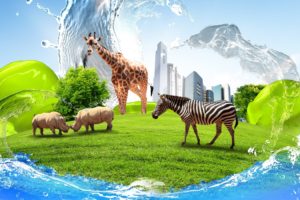 creative, Zebra, Giraffe, Rhino, Buildings, Water, Grass, Lawn
