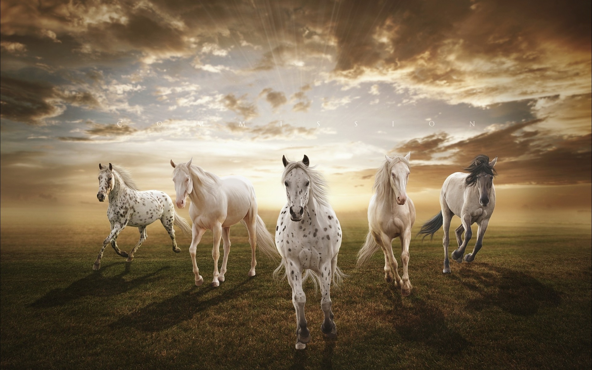 sunset, Horses Wallpaper