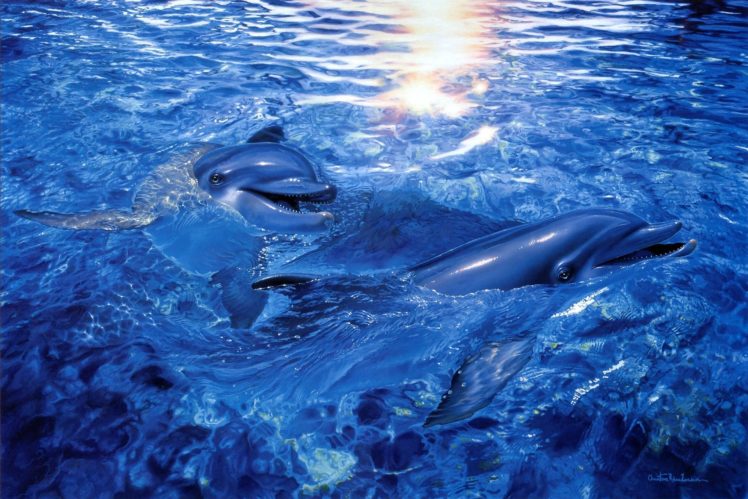 christian, Riese, Lassen, Dolphins, Dolphin, Ocea, Sea, Underwater HD Wallpaper Desktop Background