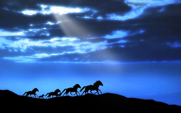 horse, Sky, Animal, Beauty HD Wallpaper Desktop Background