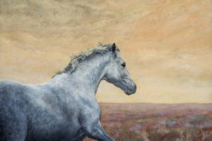 beauty, Art, Artist, David, Haley, Painting, And039in, The, Open, Horse