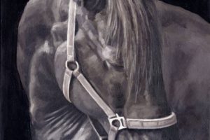 beauty, Horse, Art, Artist, Monica, Brufton, Oil, Painting, And039sky