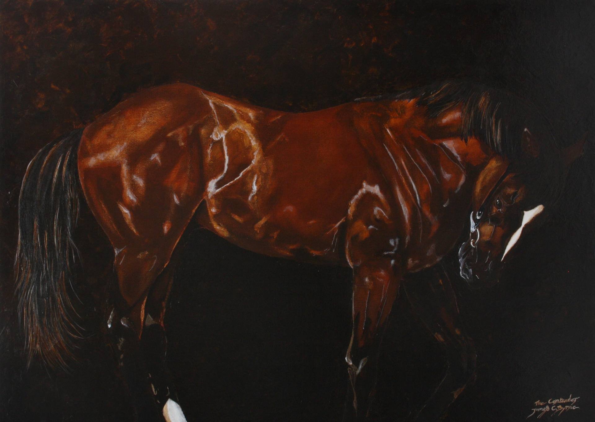 art, Painting, Beauty, Horse, Oil, Beautiful Wallpaper