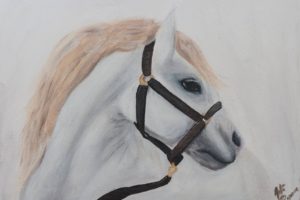 art, Painting, Beauty, Horse, Oil, Beautiful