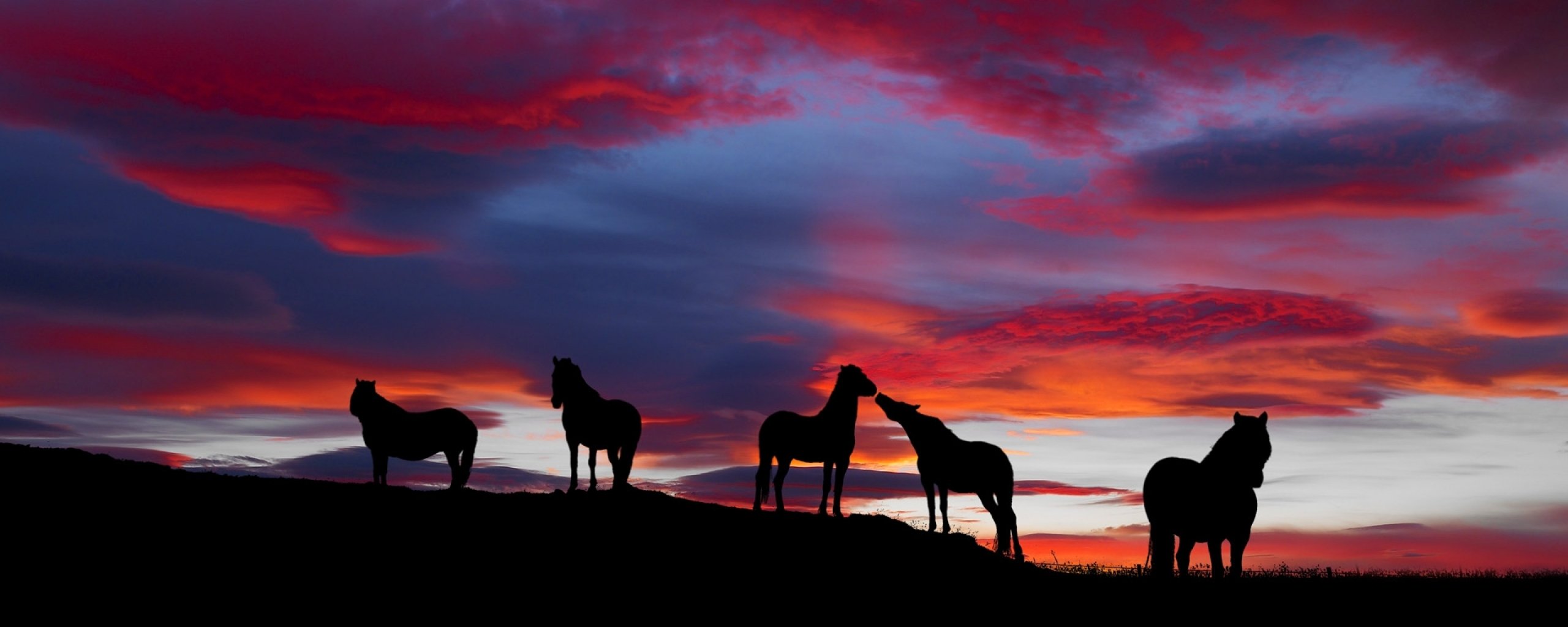 multi, Monitor, Dual, Screen, Widescreen Wallpaper