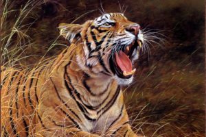 tiger, Art, Animal, Oil, Paintings, Beauty