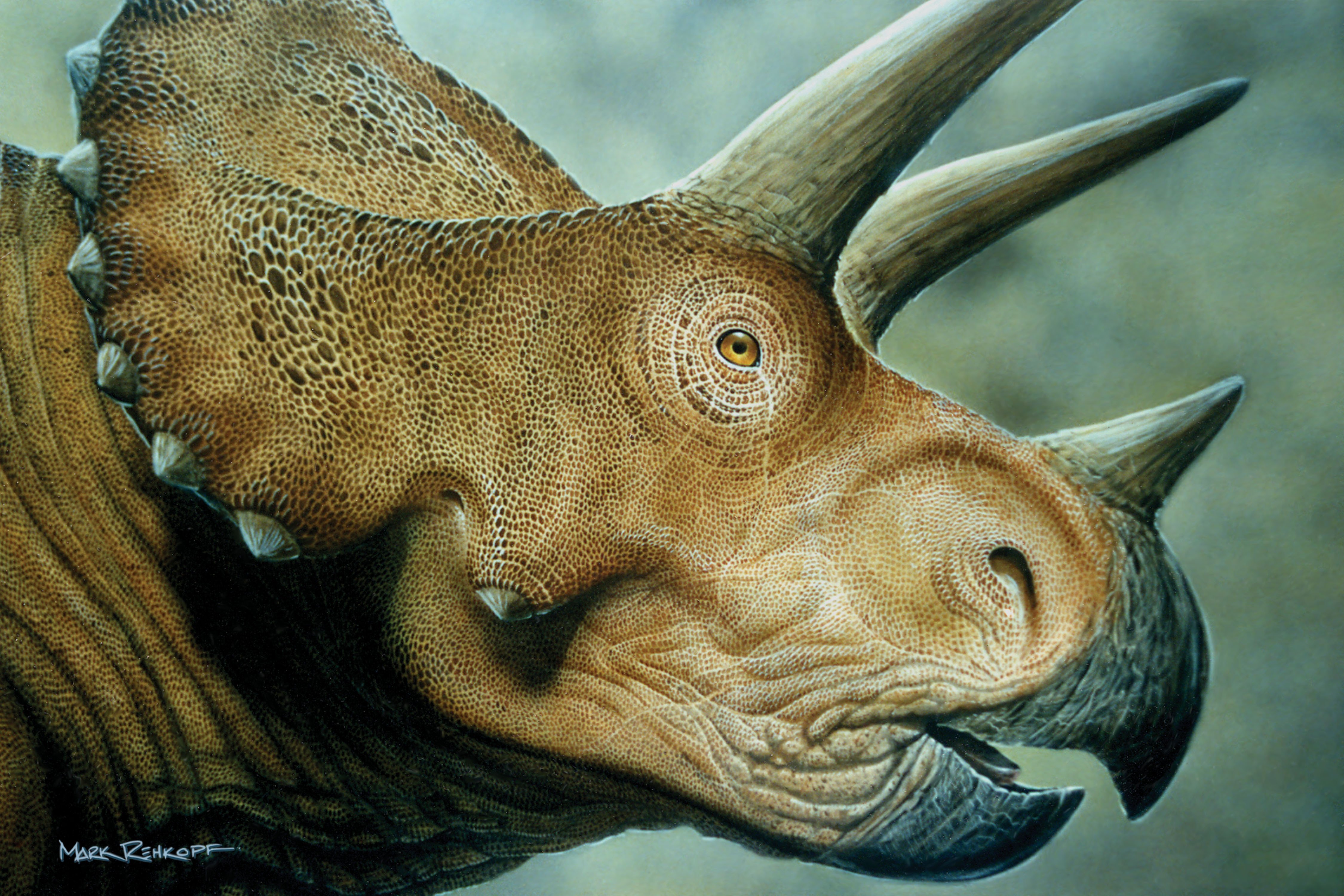 triceratops in real life